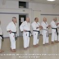 karate 33 redimensionner